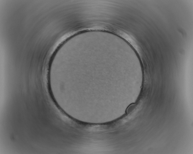 X0000113241093200910221055
