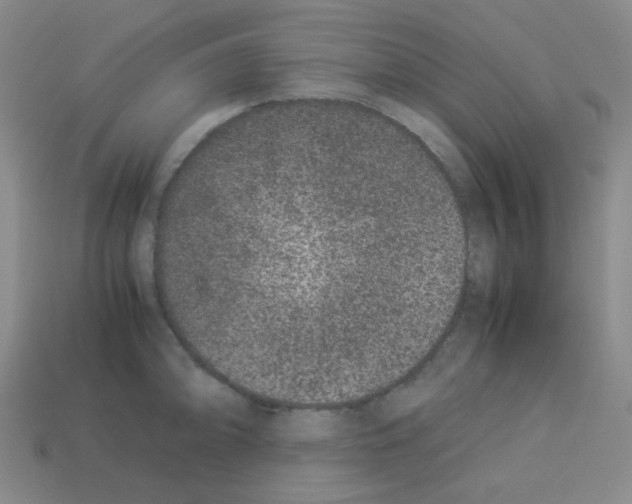 X0000113241094200910221055