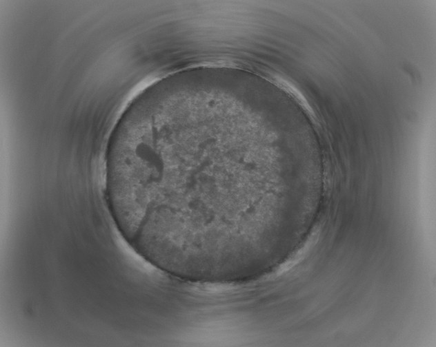 X0000113241095200910221055