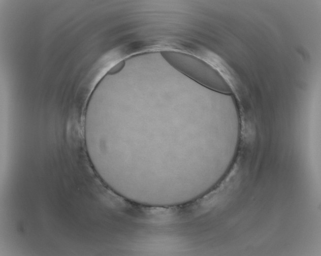 X0000113241097200910221055
