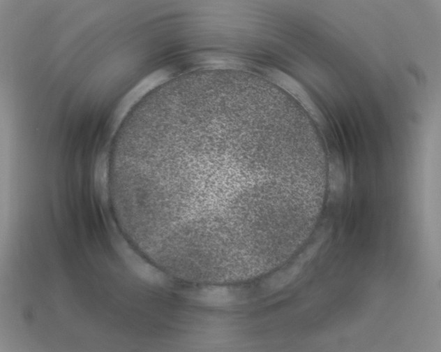 X0000113241098200910221055
