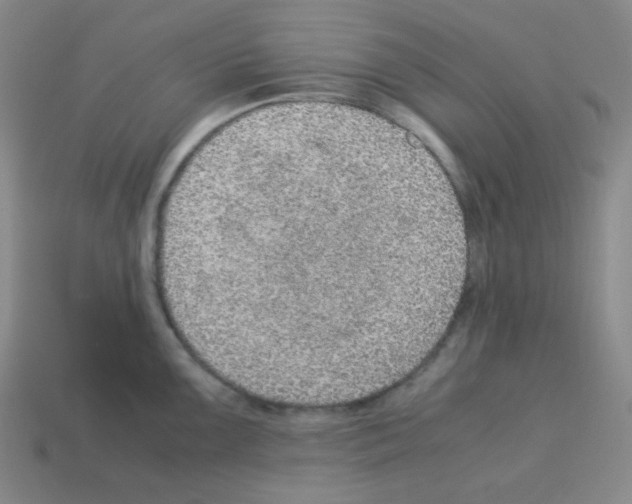 X0000113241099200910221055