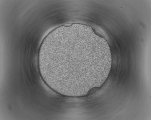 X0000113241100200910221055