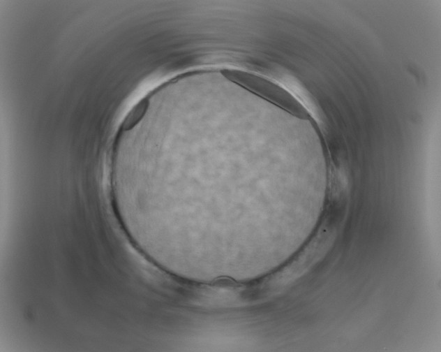 X0000113241101200910221055