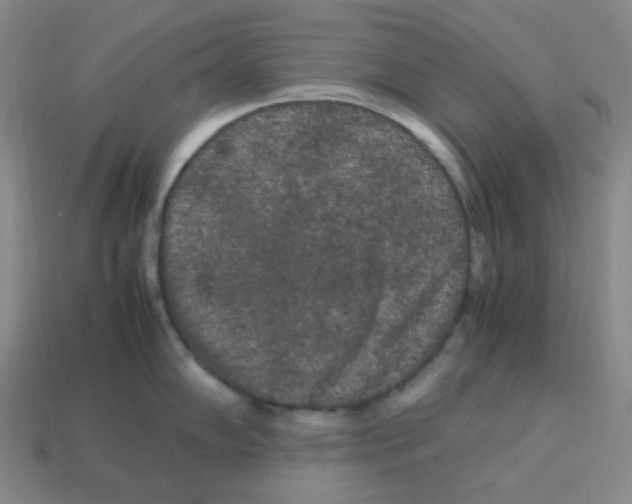 X0000113241102200910221055