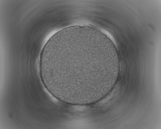 X0000113241103200910221055