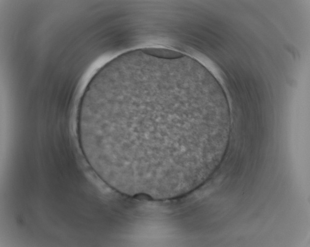 X0000113241104200910221055