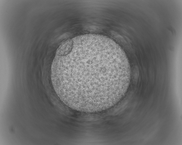X0000113241105200910221054