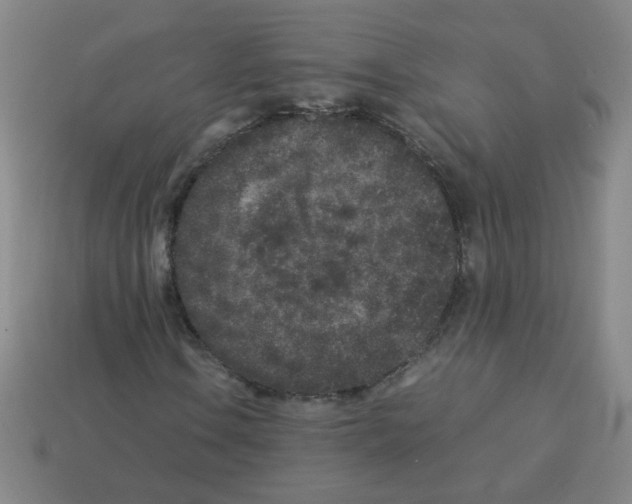 X0000113241106200910221054