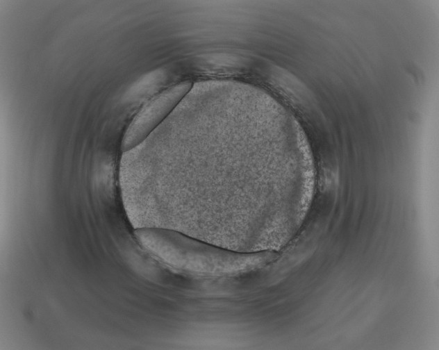 X0000113241108200910221054