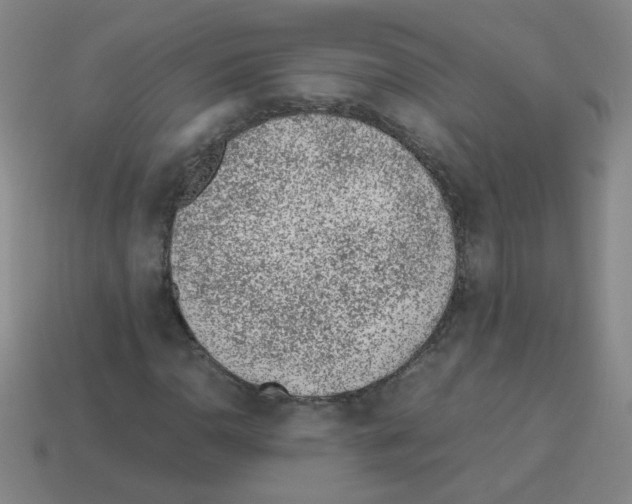 X0000113241110200910221054