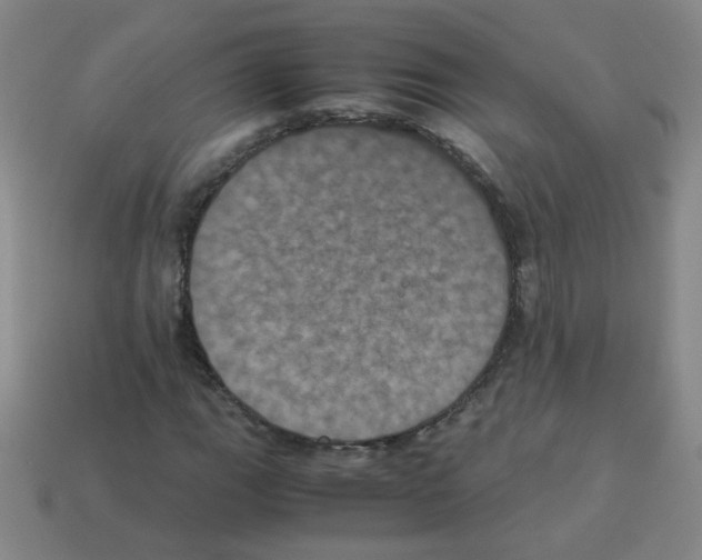 X0000113241111200910221054