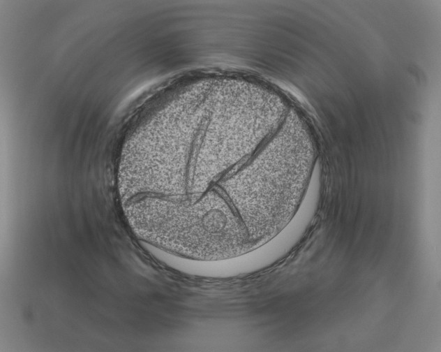 X0000113241112200910221054