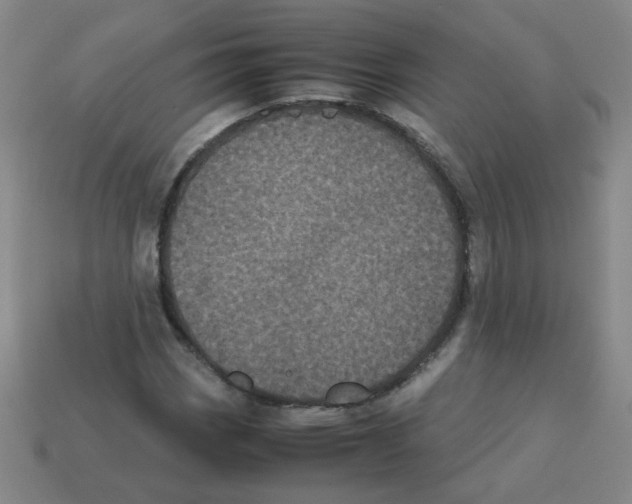 X0000113241113200910221054