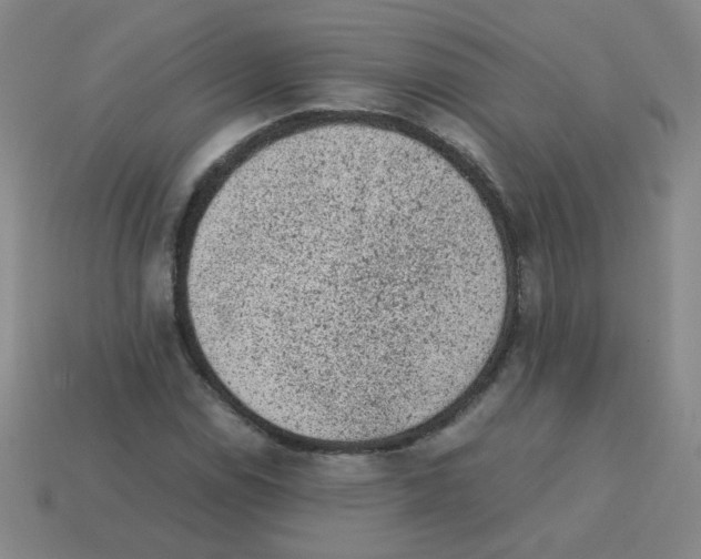 X0000113241114200910221055