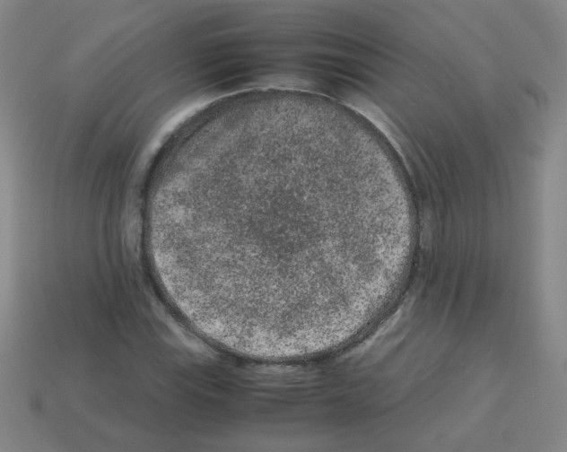 X0000113241115200910221055
