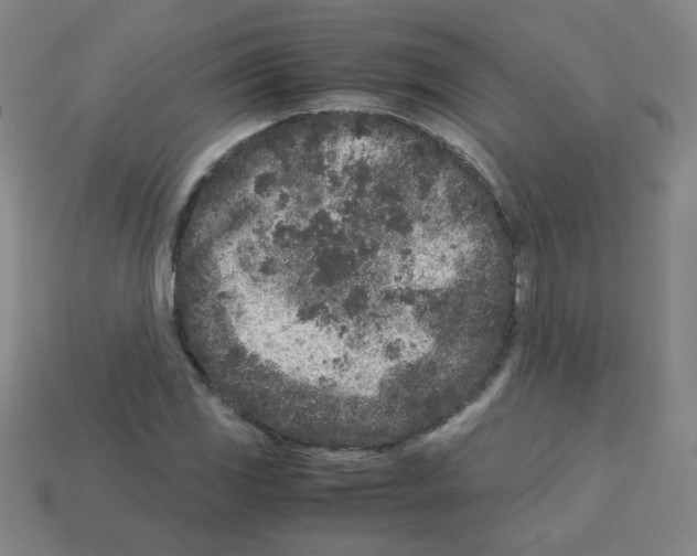 X0000113241117200910221055