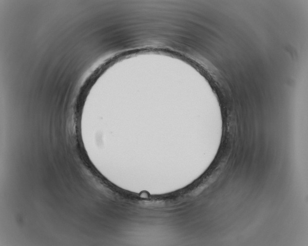 X0000113241118200910221055