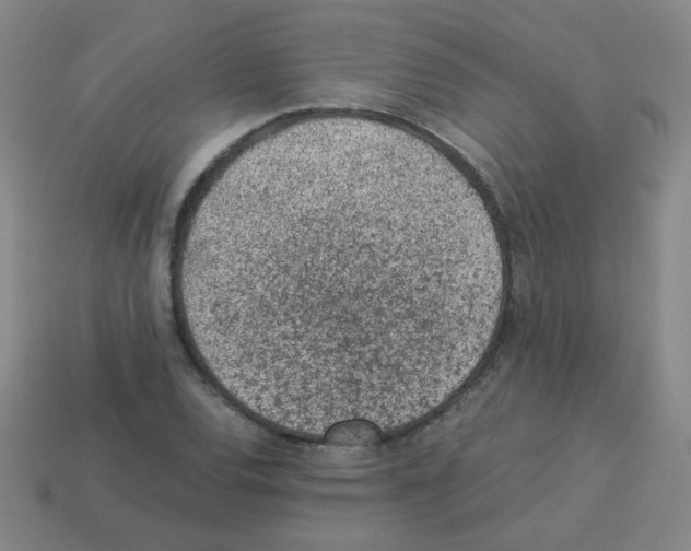 X0000113241120200910221055
