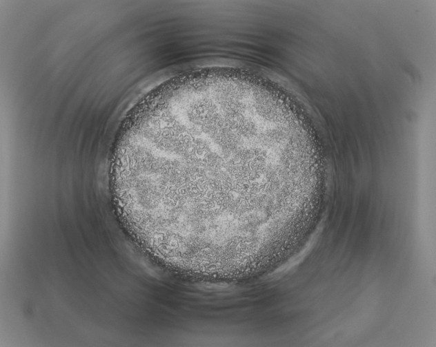 X0000113241121200910221055