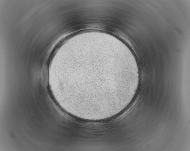 X0000113241123200910221055
