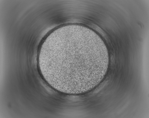 X0000113241124200910221055