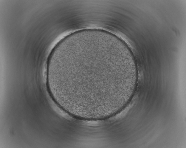 X0000113241126200910221055
