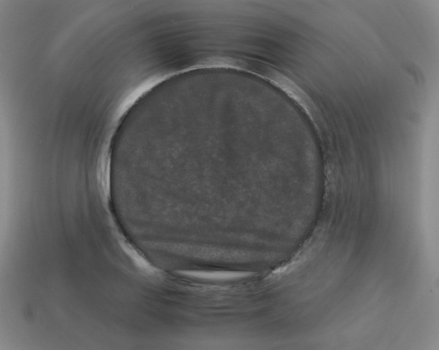 X0000113241127200910221055