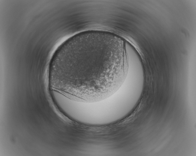 X0000113241128200910221055