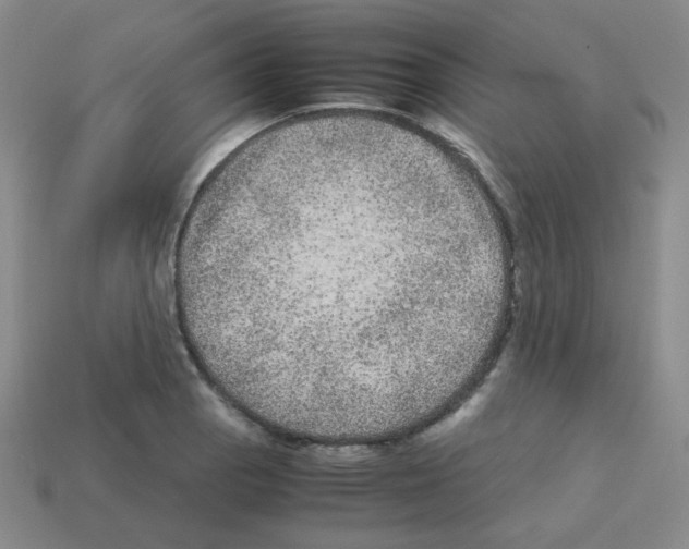 X0000113241129200910221055