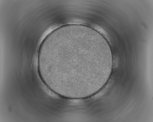 X0000113241130200910221055