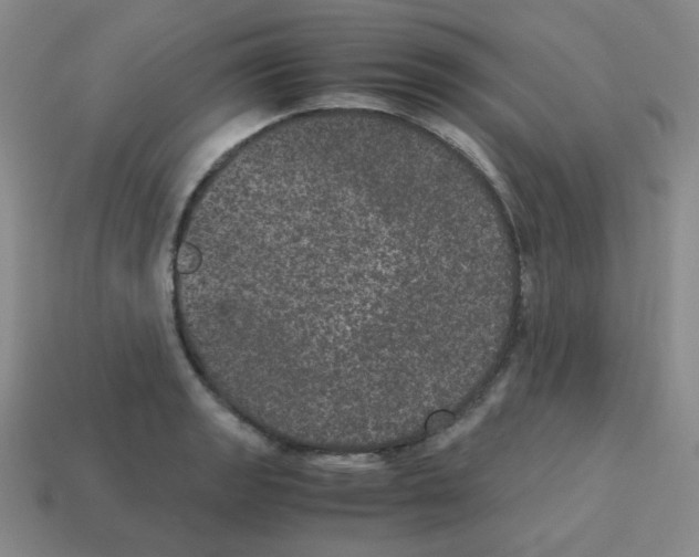 X0000113241133200910221055