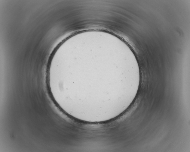 X0000113241134200910221055