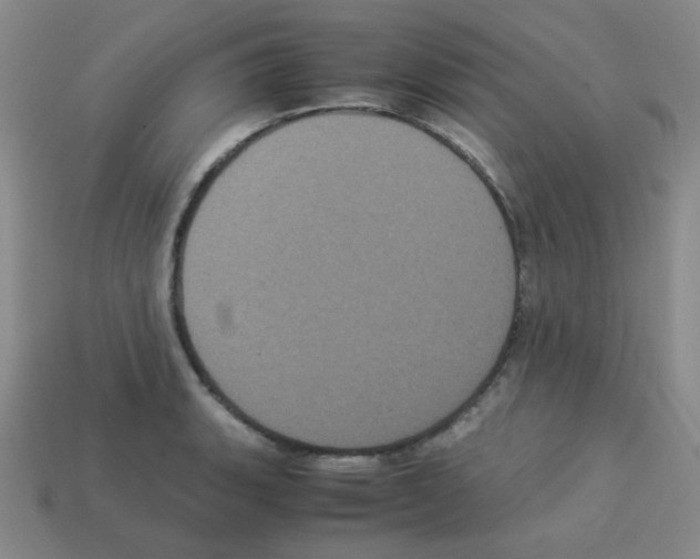 X0000113241135200910221055