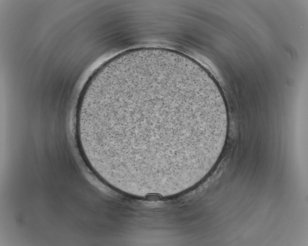 X0000113241136200910221055