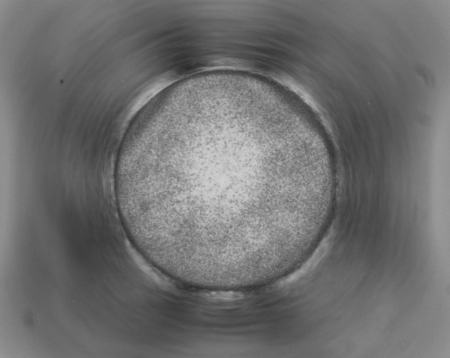 X0000113241137200910221055