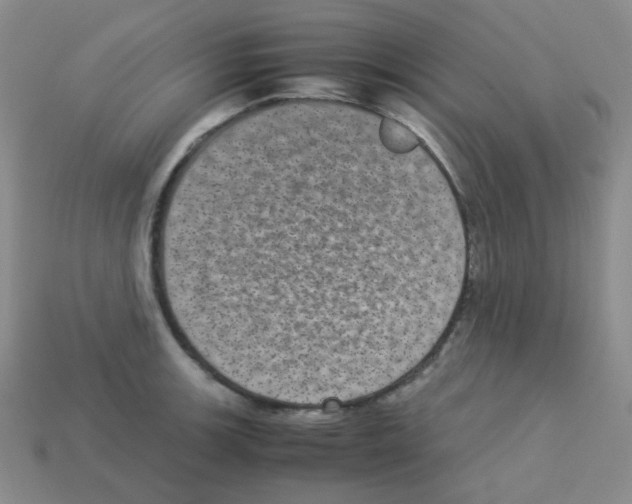 X0000113241139200910221055