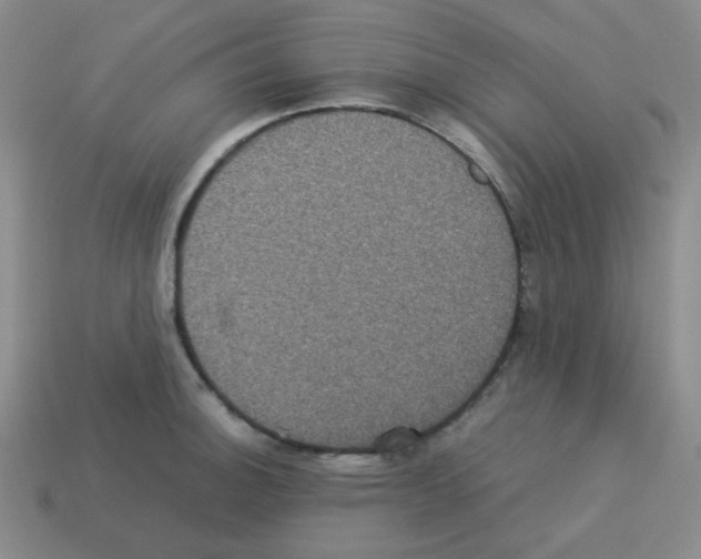 X0000113241140200910221055