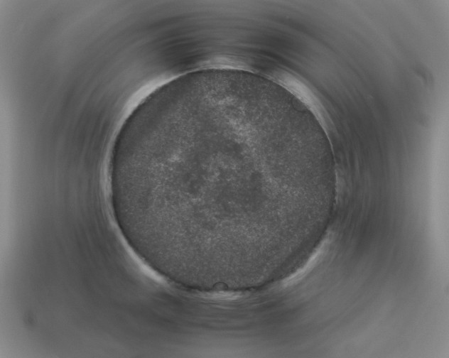 X0000113241141200910221055