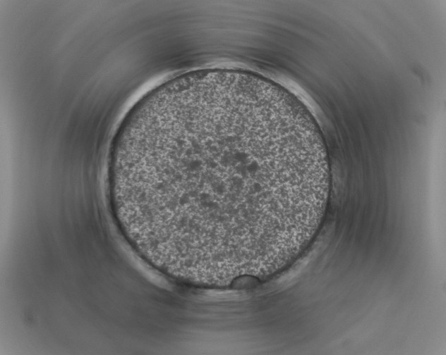 X0000113241142200910221055