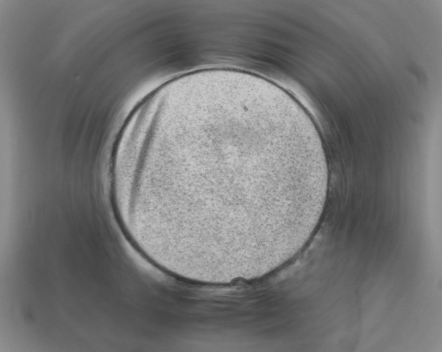 X0000113241143200910221055