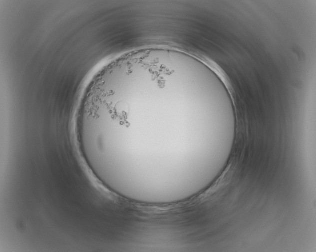 X0000113241144200910221055