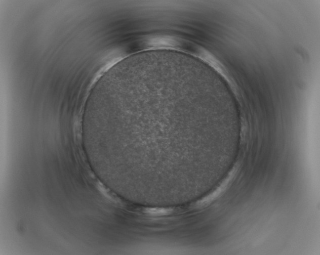 X0000113241145200910221055