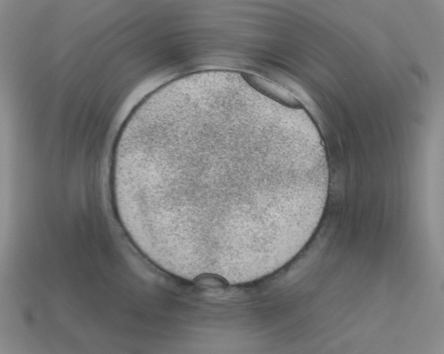 X0000113241146200910221055
