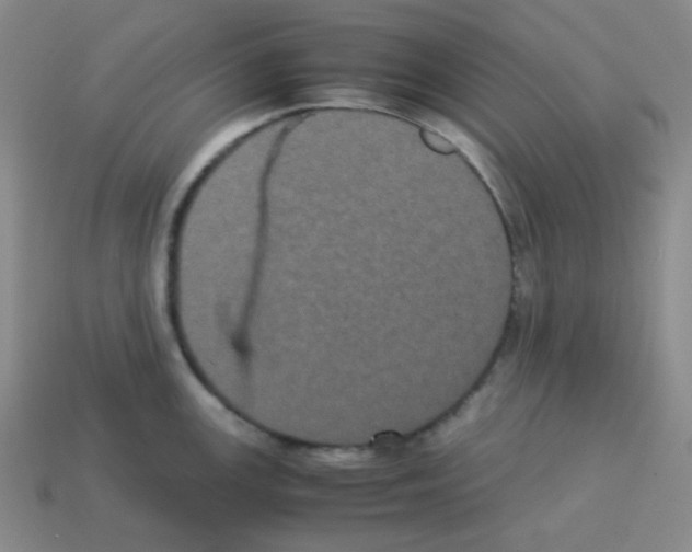 X0000113241147200910221055