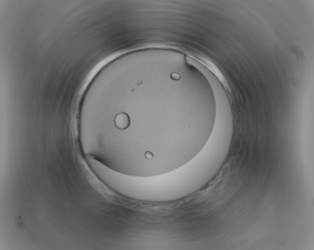 X0000113241148200910221055