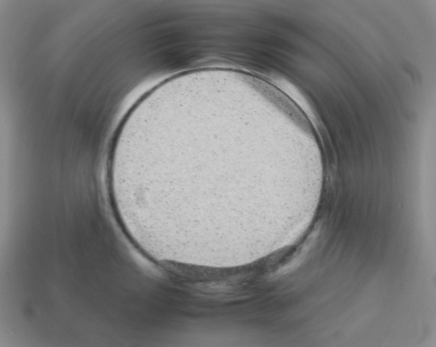 X0000113241149200910221055