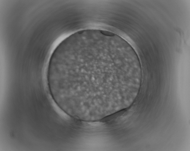 X0000113241152200910221055