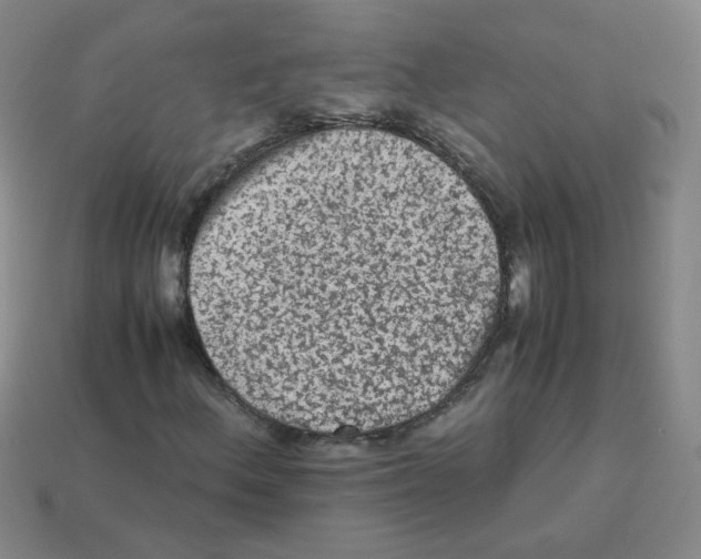 X0000113241156200910221054