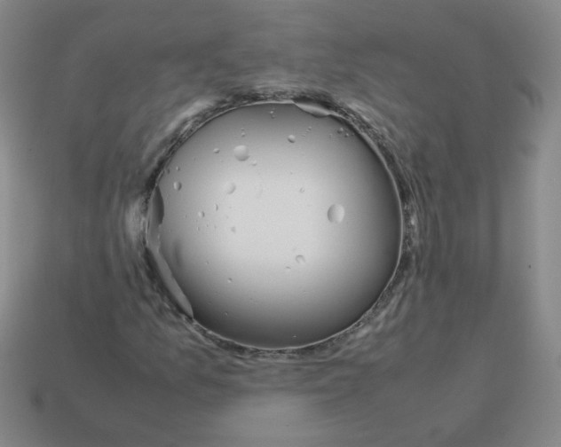 X0000113241157200910221054